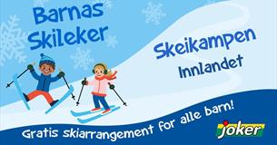Barnas skileker