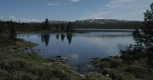 Kvitfjell-Digeråsrunden (28 km)