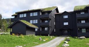 Leiligheter på skeikampen