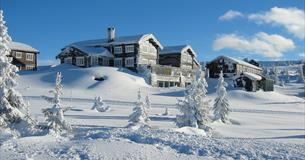 Ilsetra winter