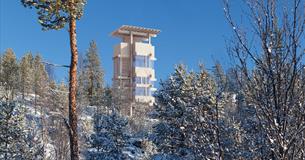 The moose observation tower