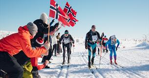 Birkebeinerrennet (Birkebeiner Skirennen) 53 km