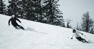 Kvitfjell ski
