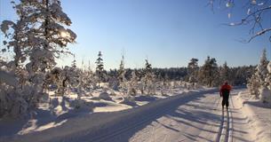 Langrennsløyer i Lillehammermarka
