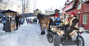 Julenissen med hest og slede