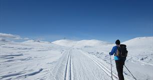 Spåtind Fjellstue– Lundssætrene – Lenningen – Spåtindtoppen – Krokhølen – Spåtind Fjellstue 45 km