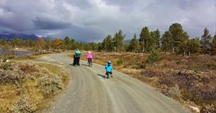 Barnefamilie på tur bortover en grusvei