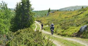 Family trip to Svartfjell (10 km)