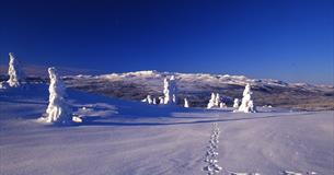 Synnfjellet