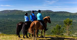 View of the horseback beyond the Espedalen