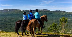 Utsikt fra hesteryggen utover Espedalen