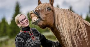 Blide turledere og hester i Venabustallen