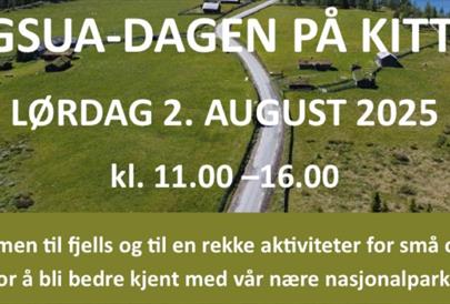 Langsua dagen på Kittilbu