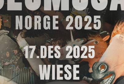 SLOMOSA @WIESE SLOMOSA - Voksen