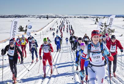 Birkebeinerrennet