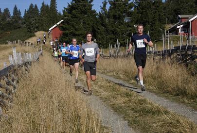 UltraBirken mountain run