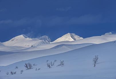 Copy of 'Photography course: image processing, develop your creative signature'