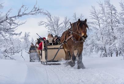 Julebord | Venabu Fjellhotel