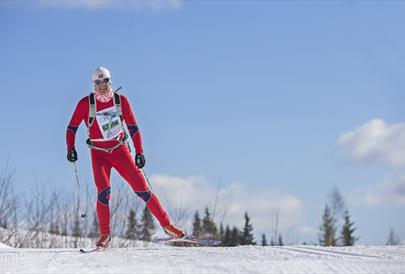 SkøyteBirken 54 km (skate)