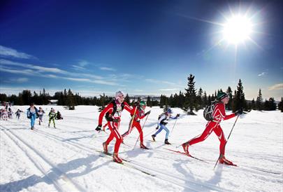 UngdomsBirken Ski (Youth ski race)