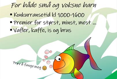 FjellFiskeFestival