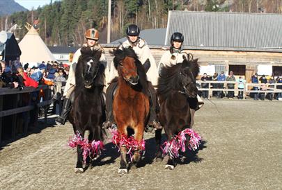 Islandsjenter Stavsmarn