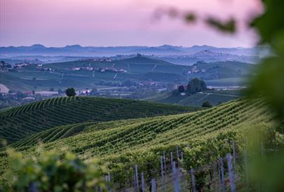 Wine makers dinner | Nermo Hotell