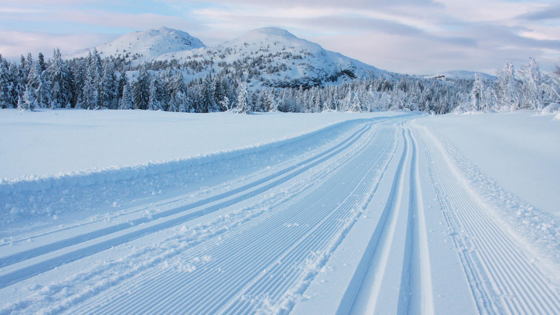 Crosscountry tracks at Sjusjøen