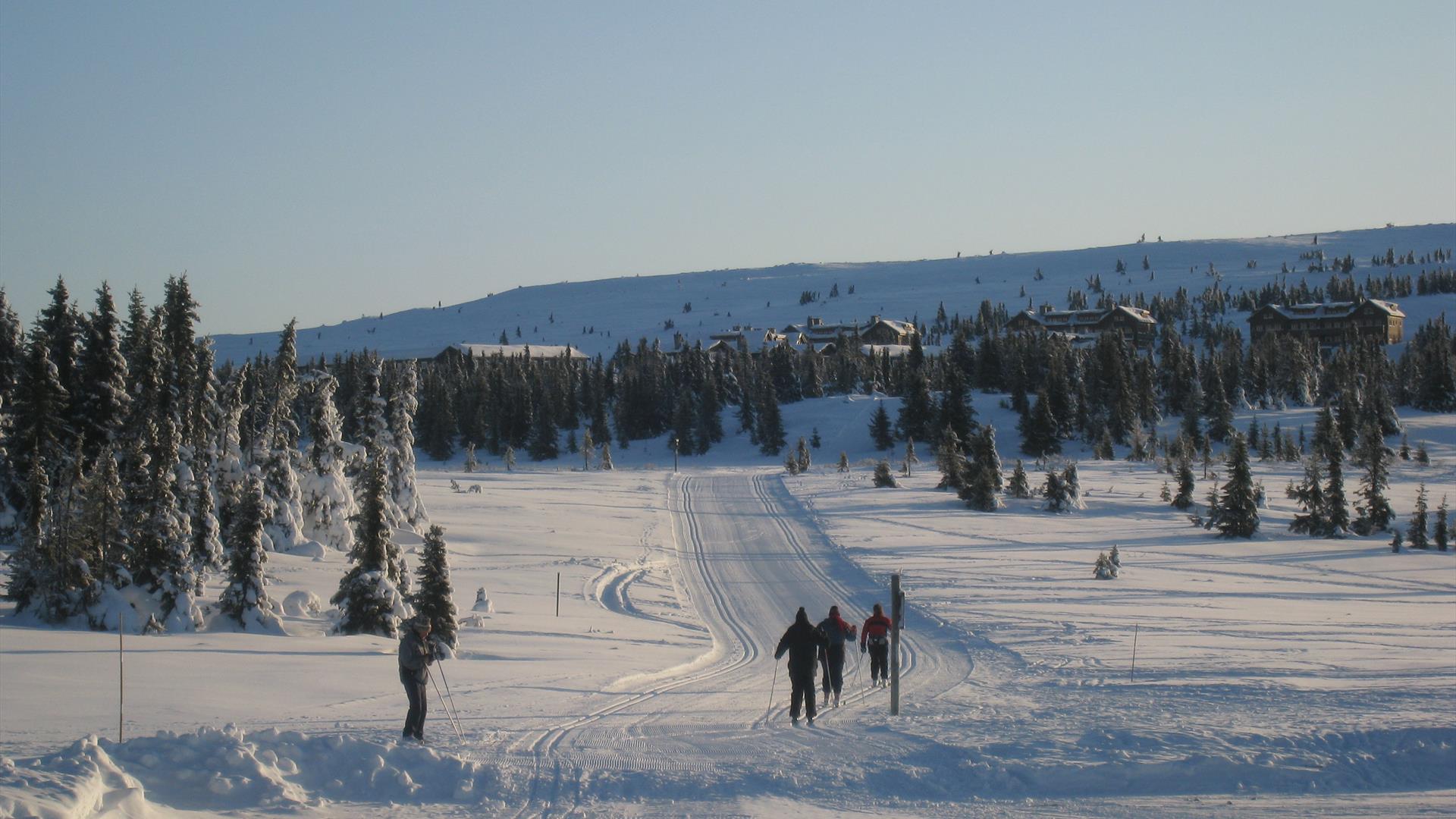 Crosscountry skiing at Gaiastova