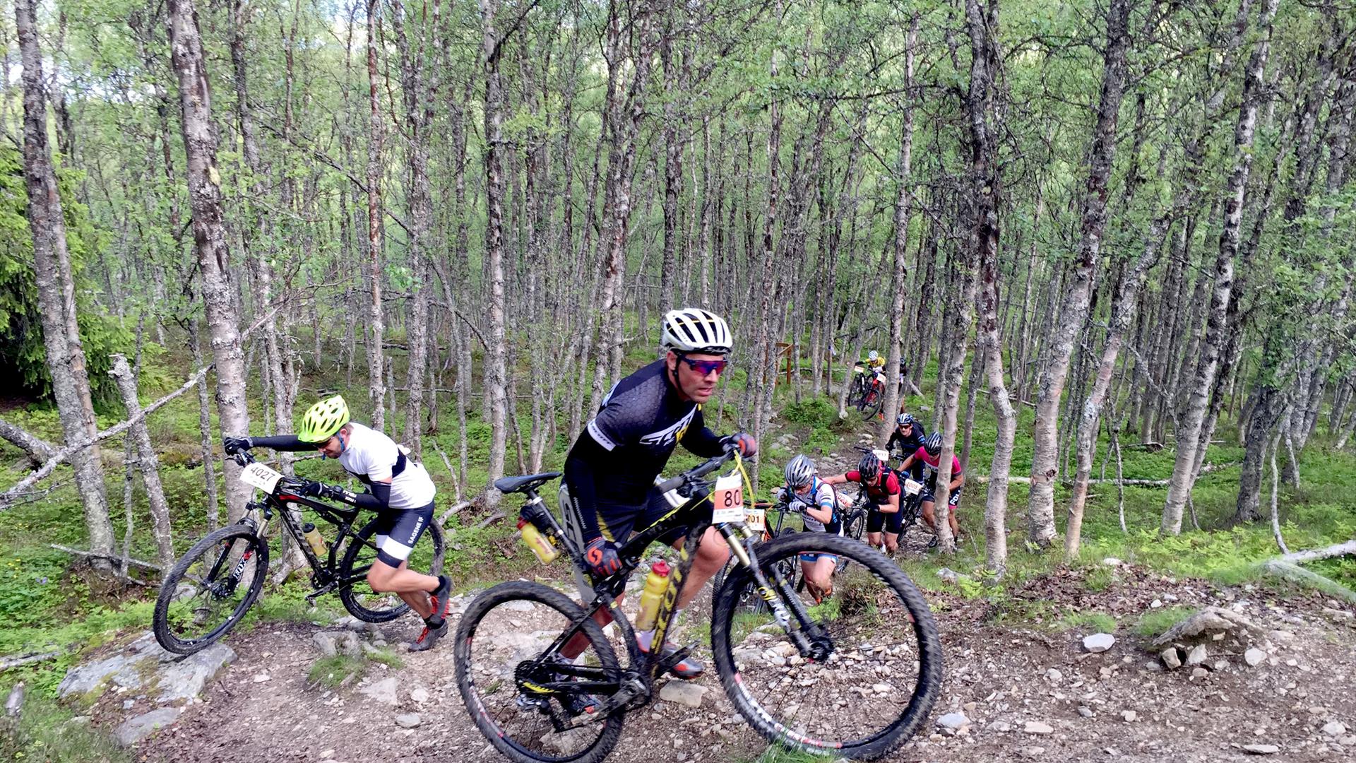 Furusjøen Rundt MTB - Sport in Kvam, Nord-Fron - Visit Lillehammer