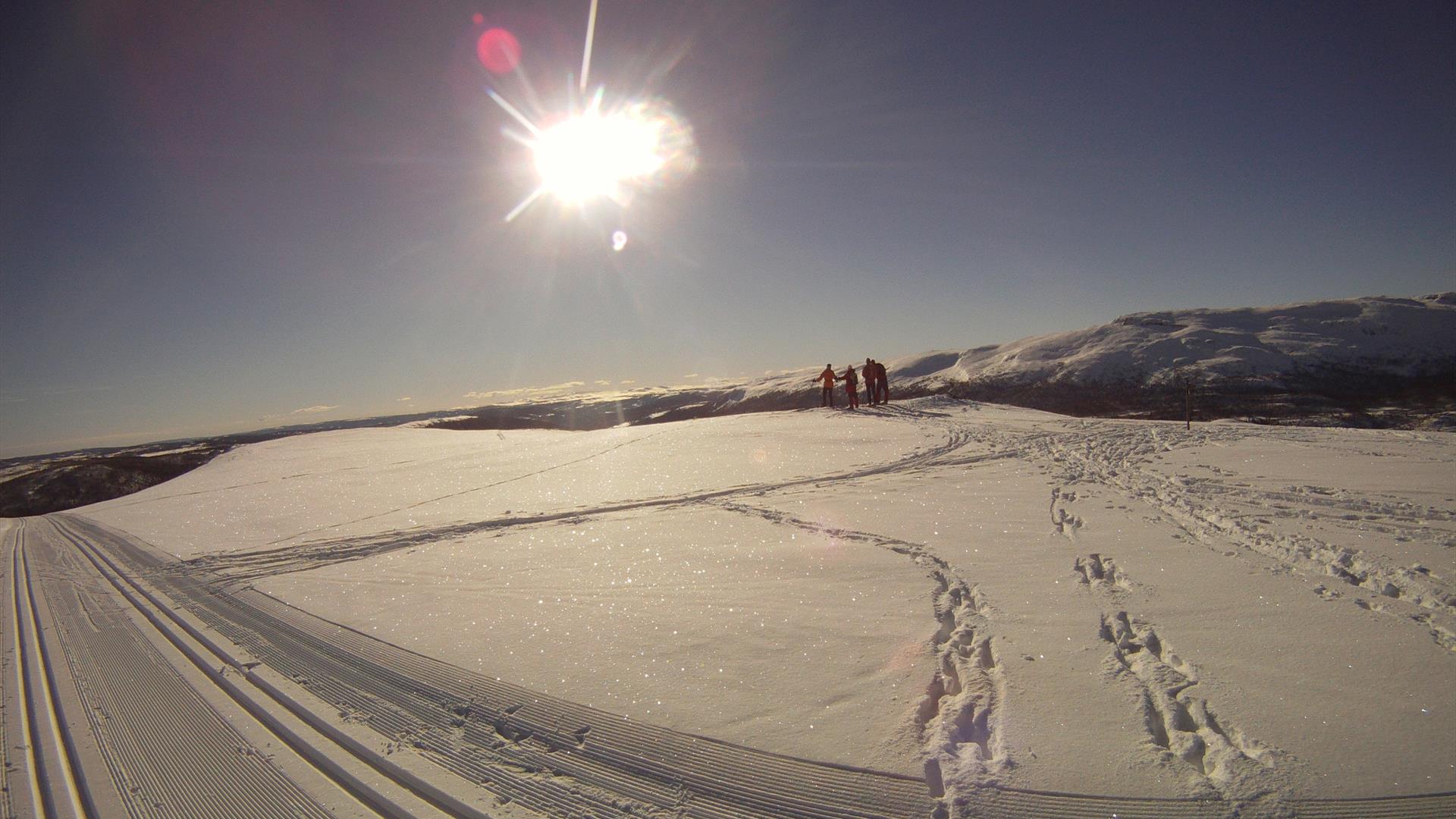 Skispor på fjellet