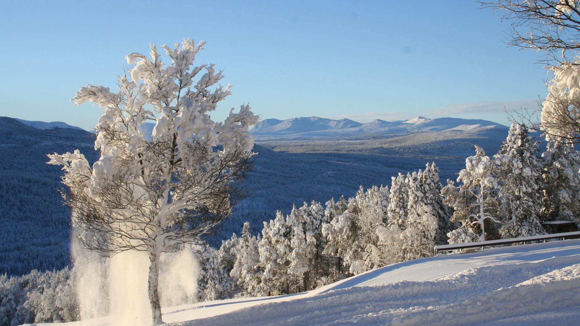 View Espedaken in winter