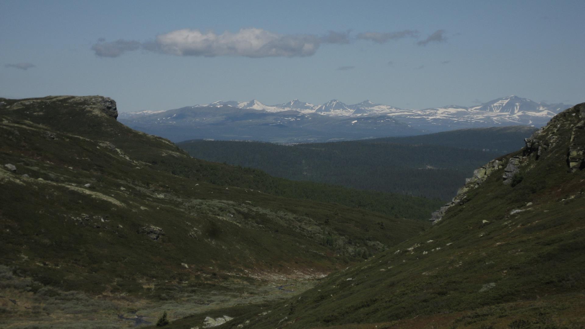 Blick in Richtung Skardbua