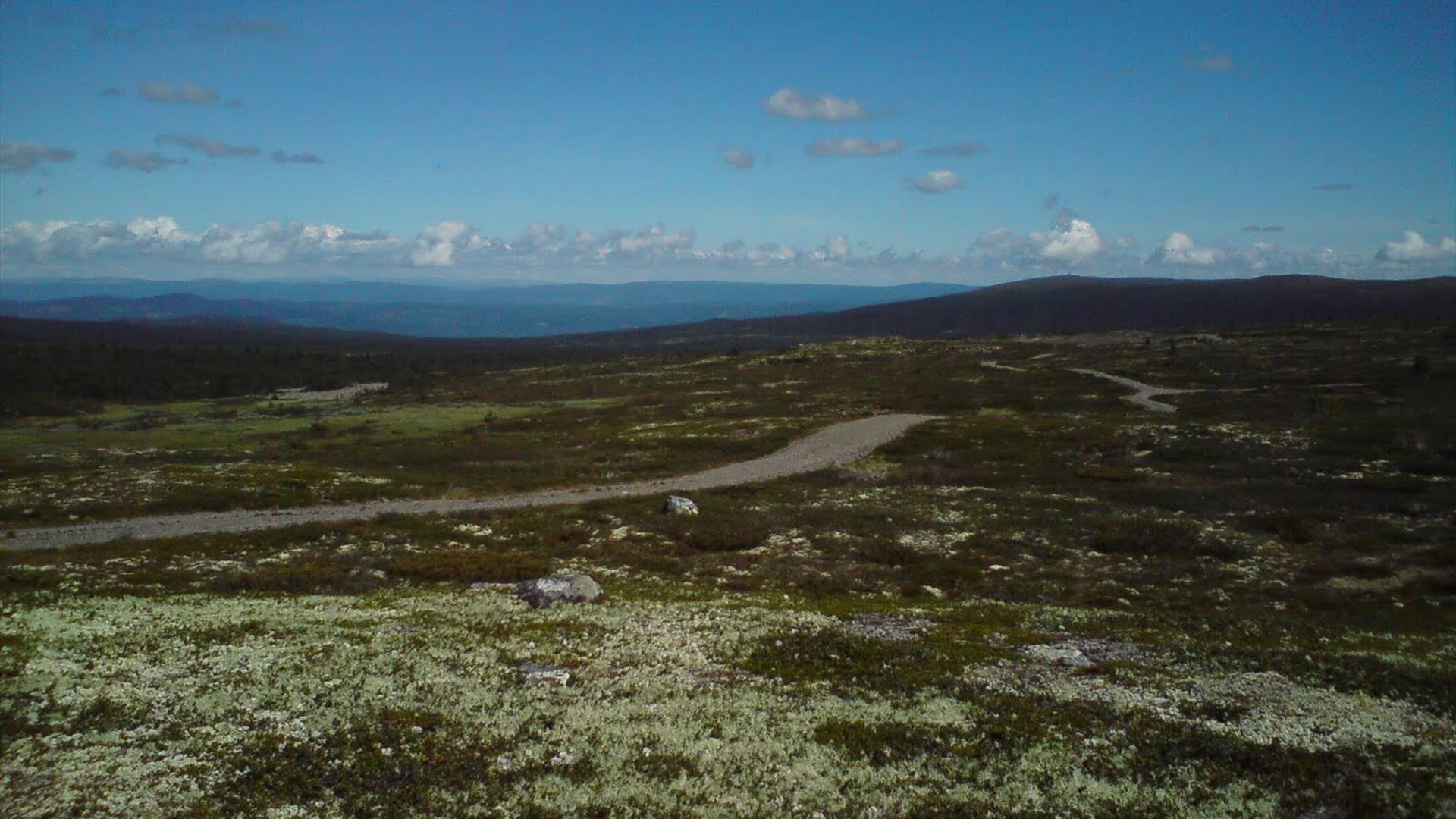 The Birkebeiner road