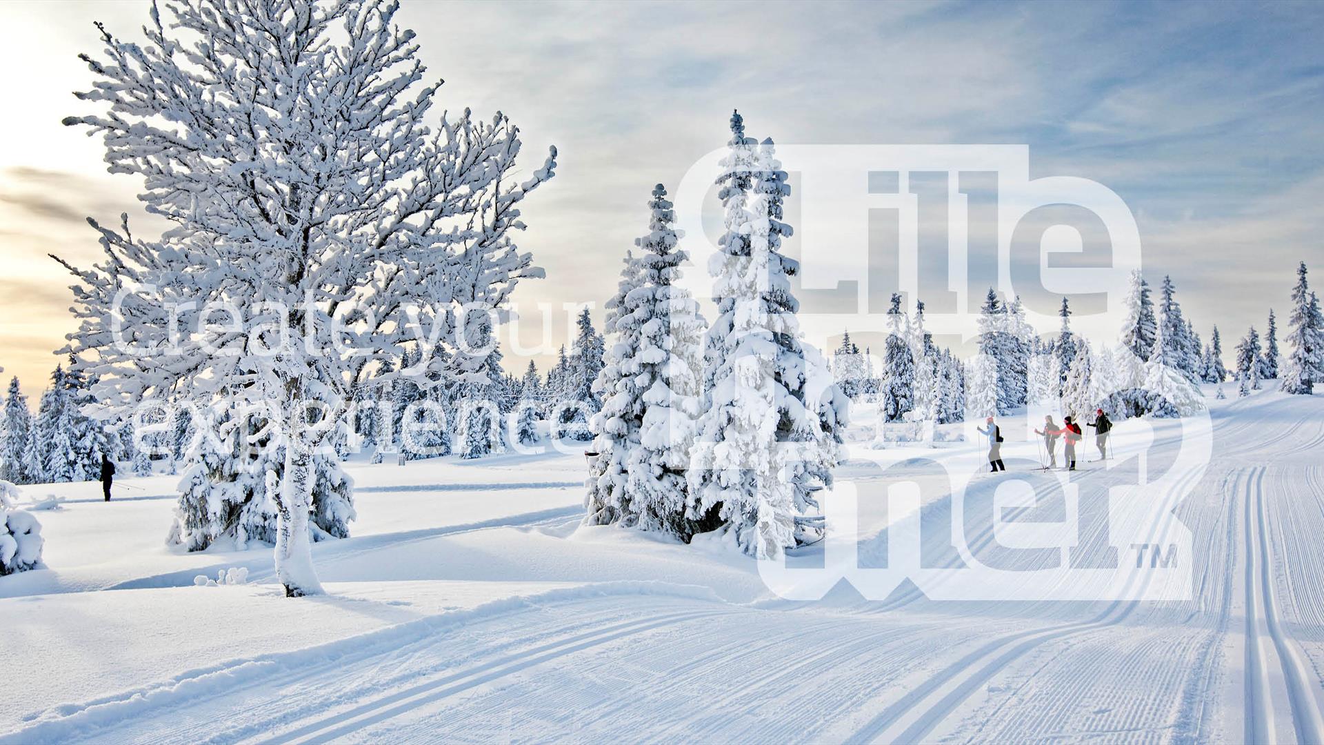 Cross-Country skiing