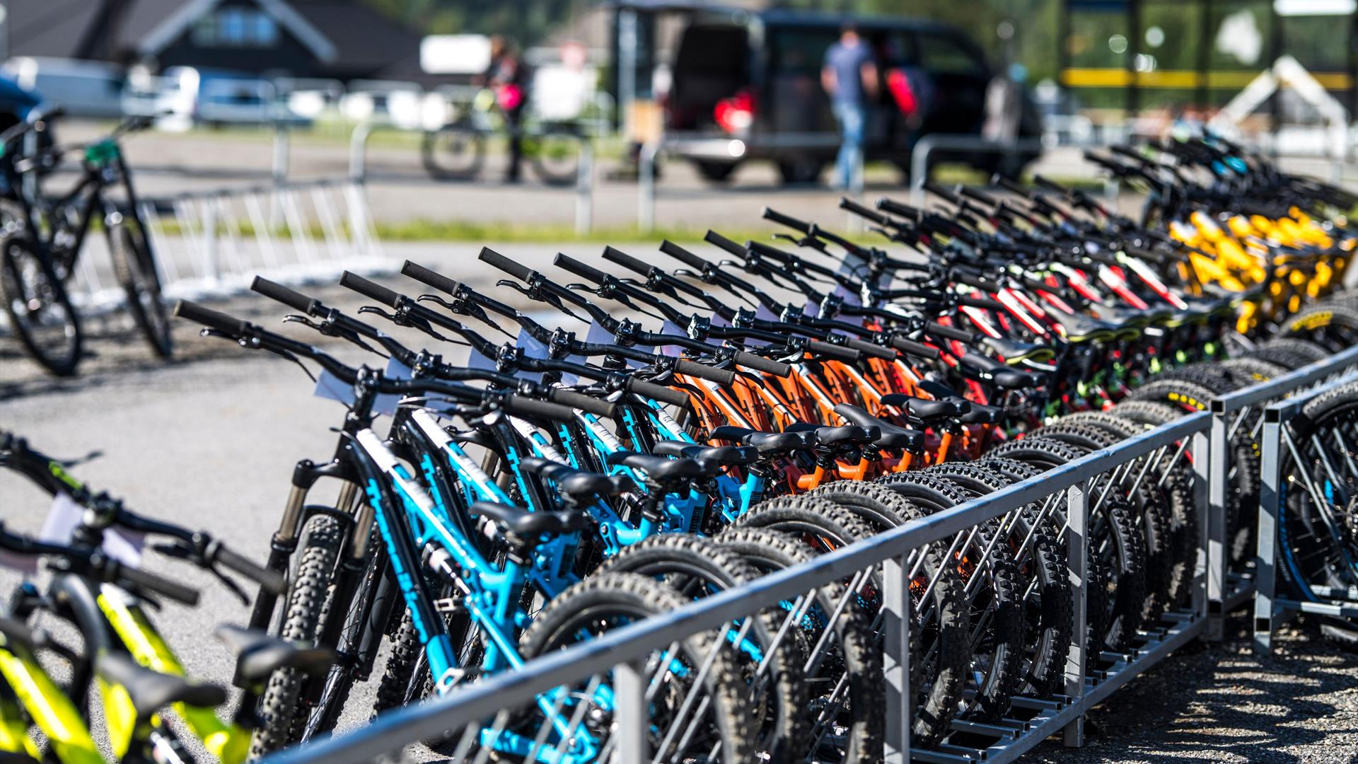 Renting store mountain bikes