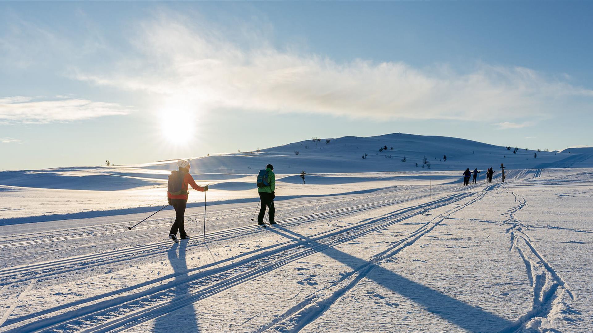 A group of cross country skiers on the tracks. Venabu Fjellhotell