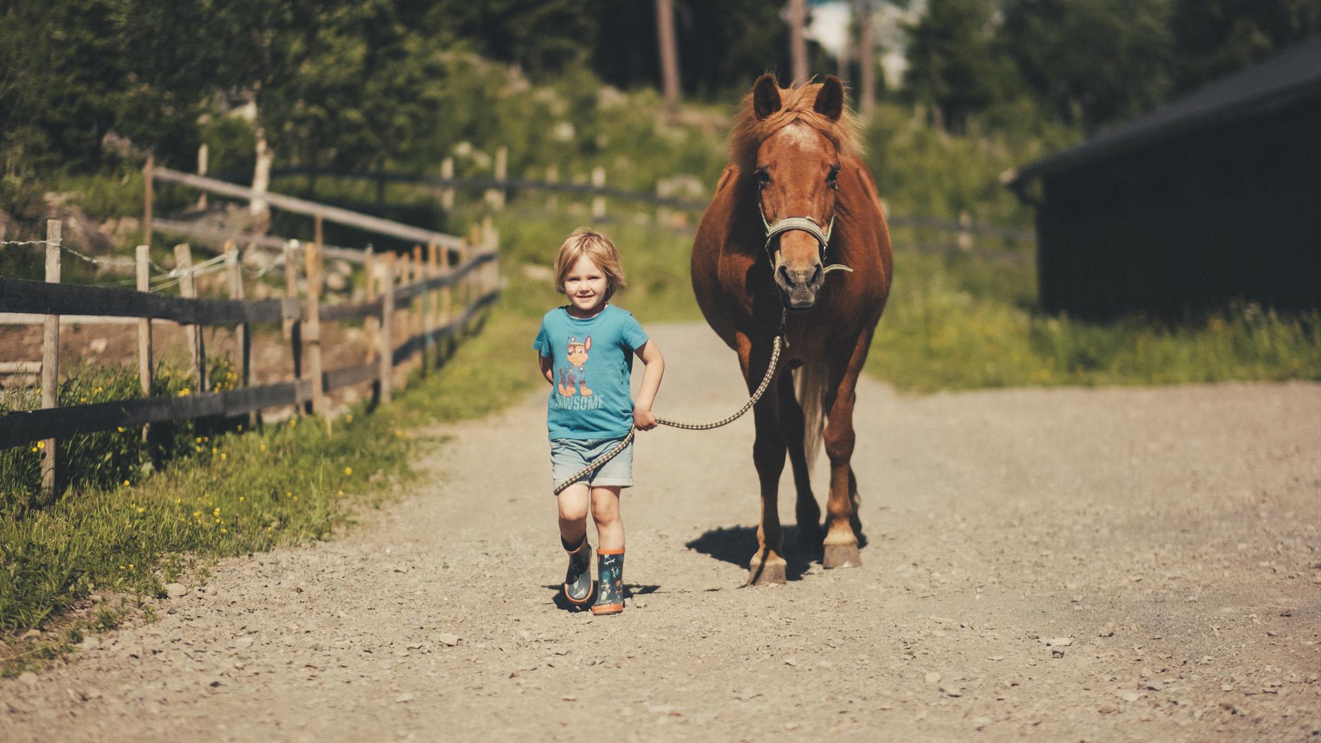 Child leading a horse along a farm road.