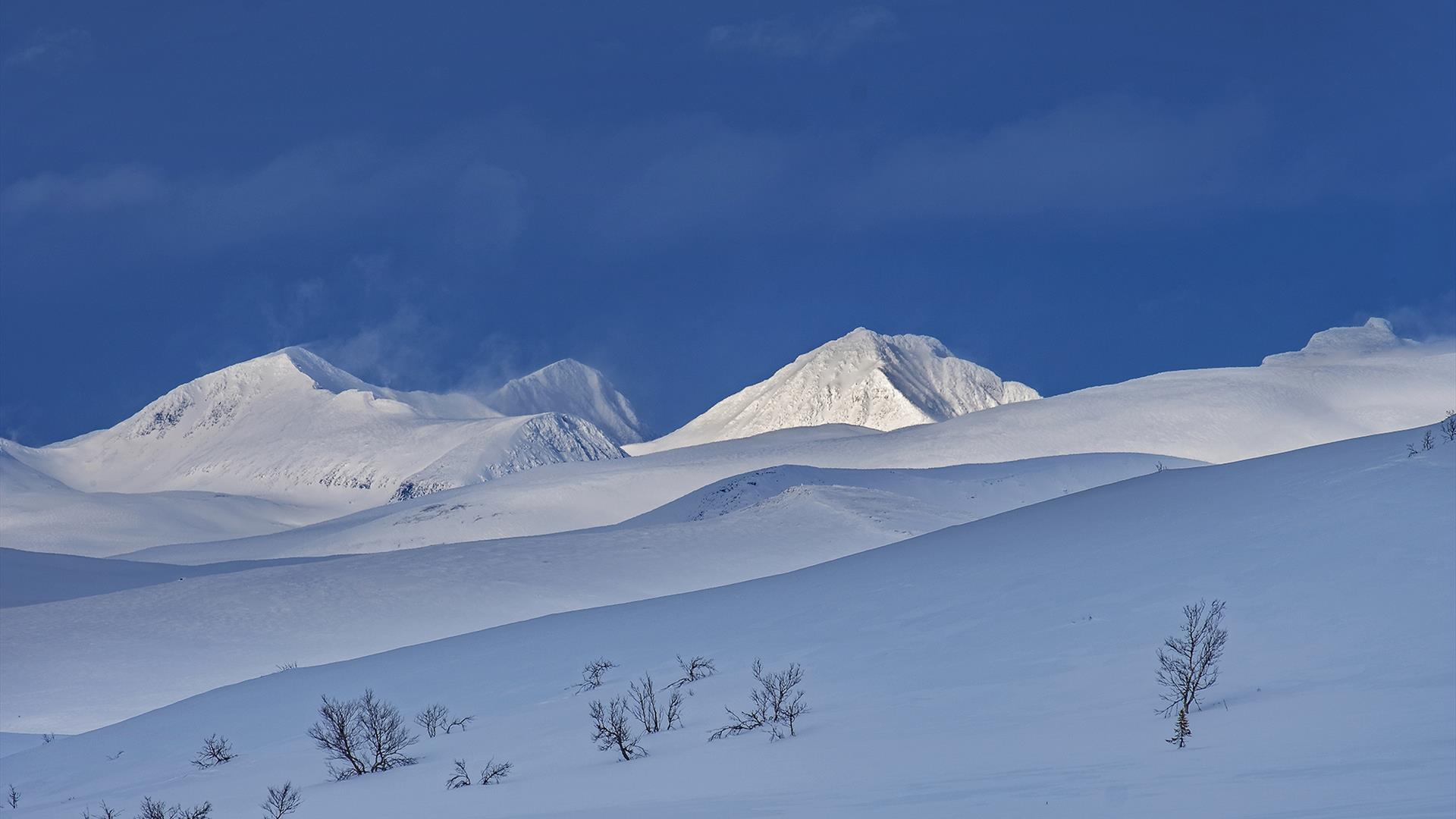 Venabygdsfjellet vinter