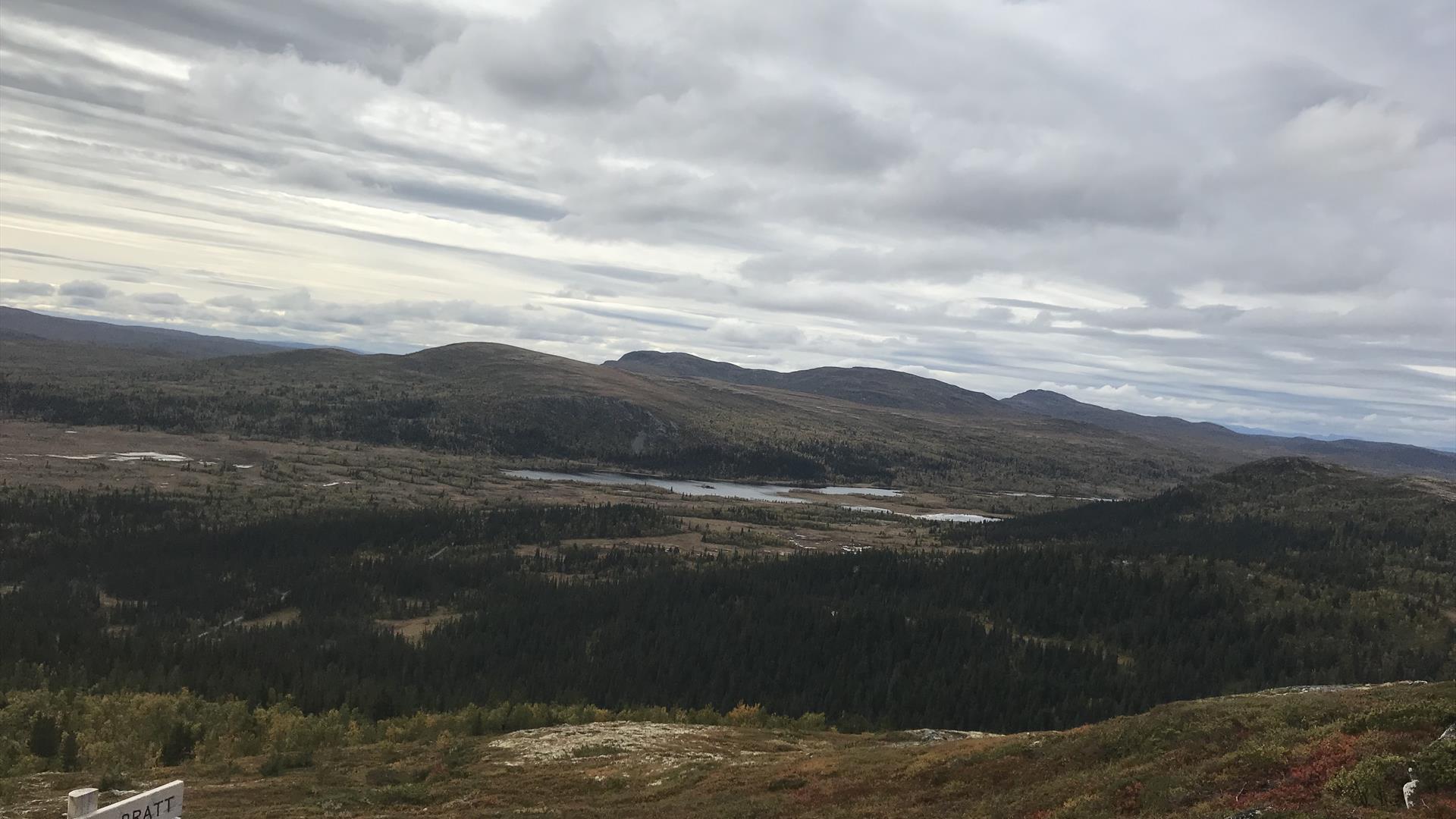 Fra Ormstjernskampen