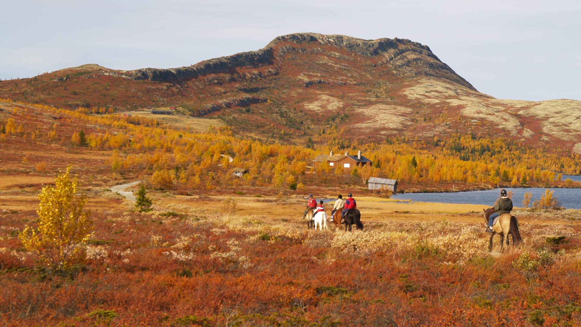 Ridning på fjellet