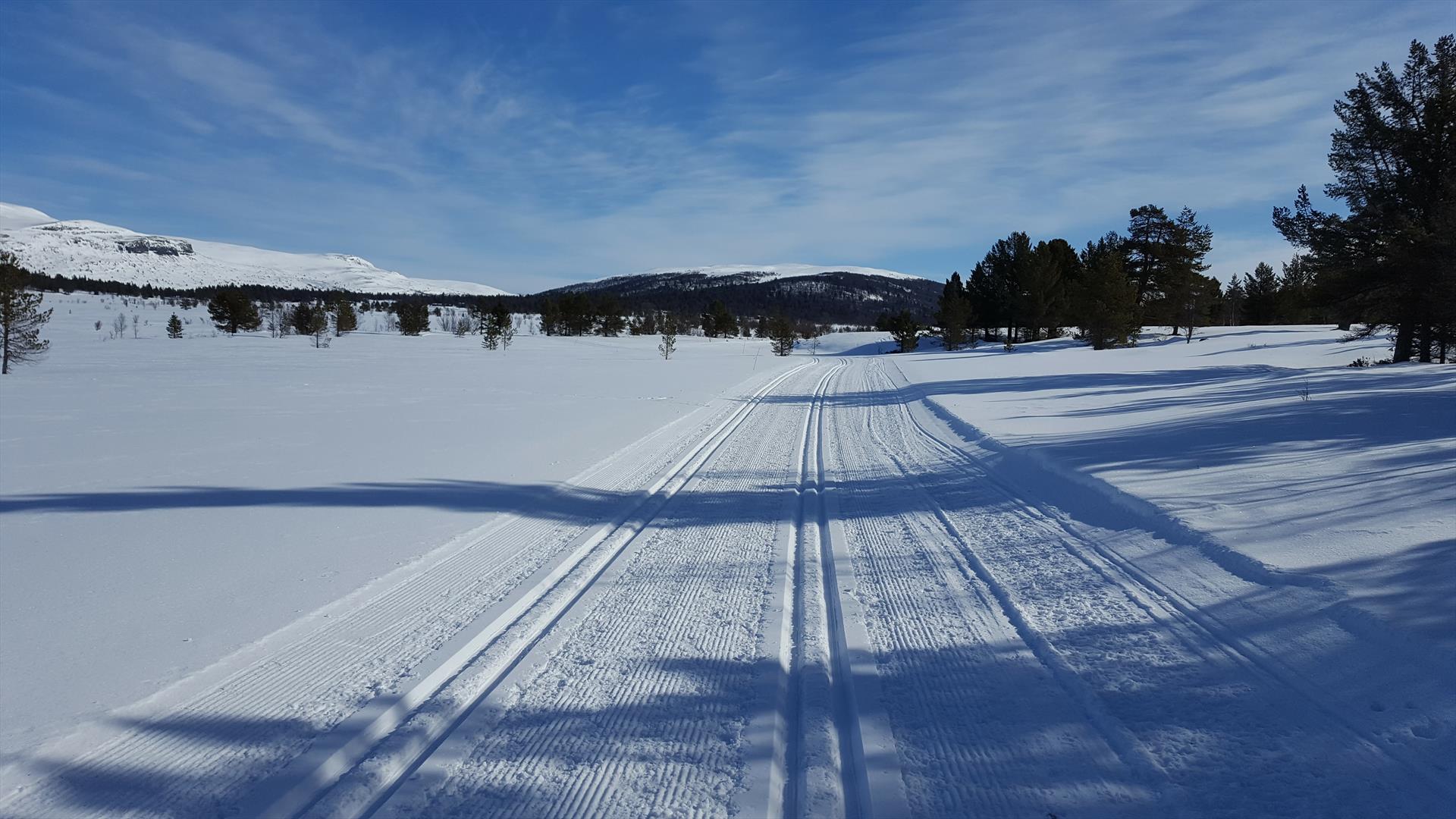Crosscountry trails in Kvamsfjellet
