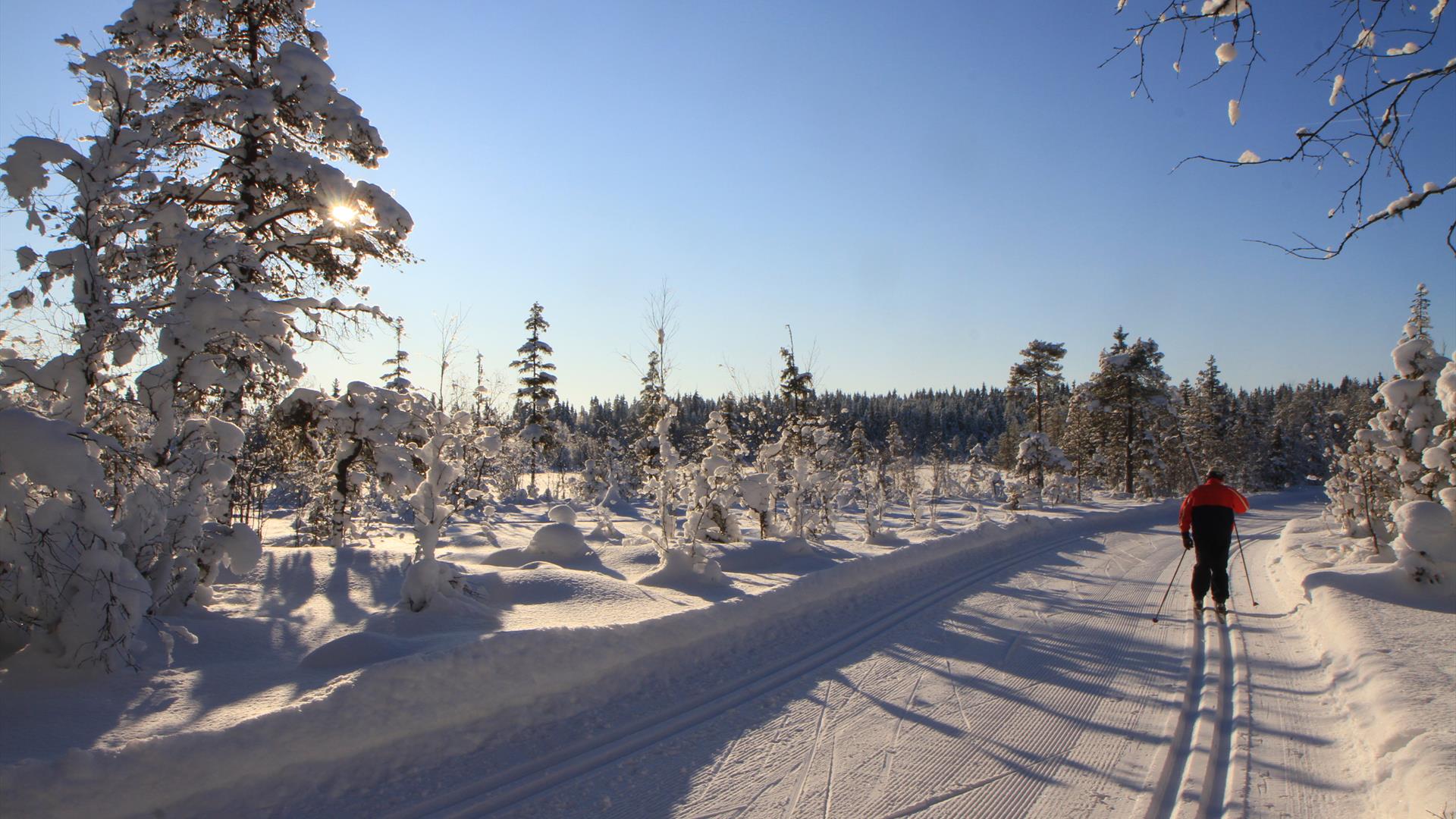 Langrennsløyer i Lillehammermarka