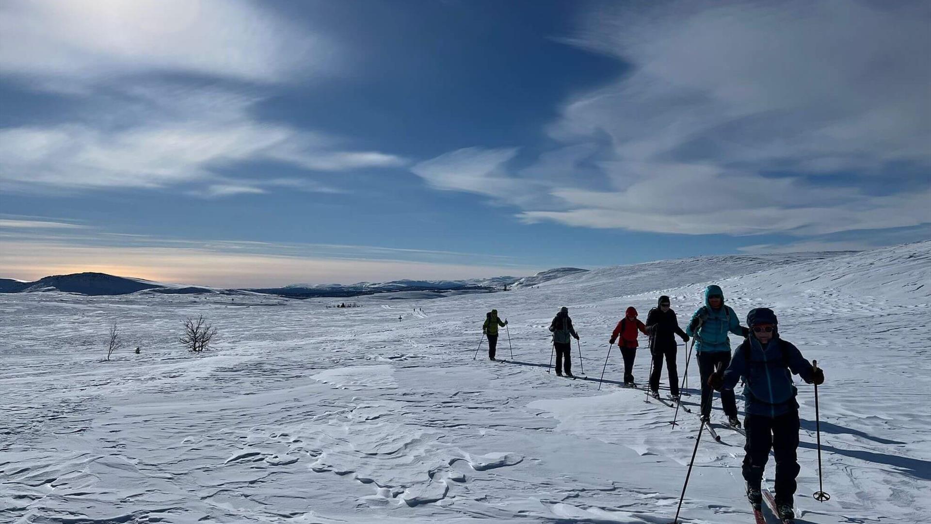 A group of nordic skiers off track with Venabu Fjellhotell