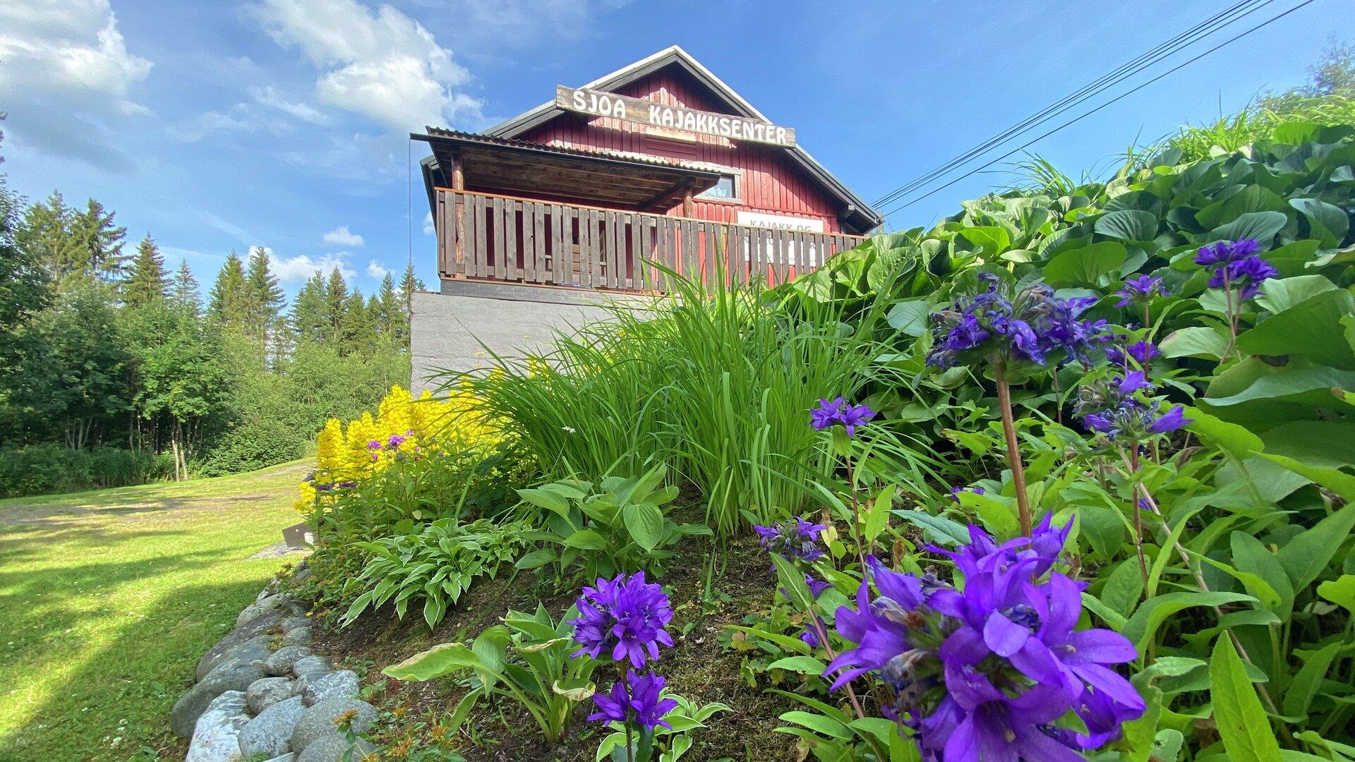 Sommerblomster i forgrunnen av en frodig hage, med en restaurert tømmerbygning i bakgrunnen omgitt av grønt landskap.