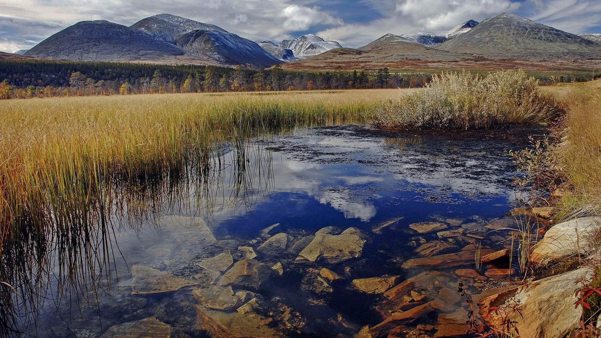 Høst på Venabufjellet