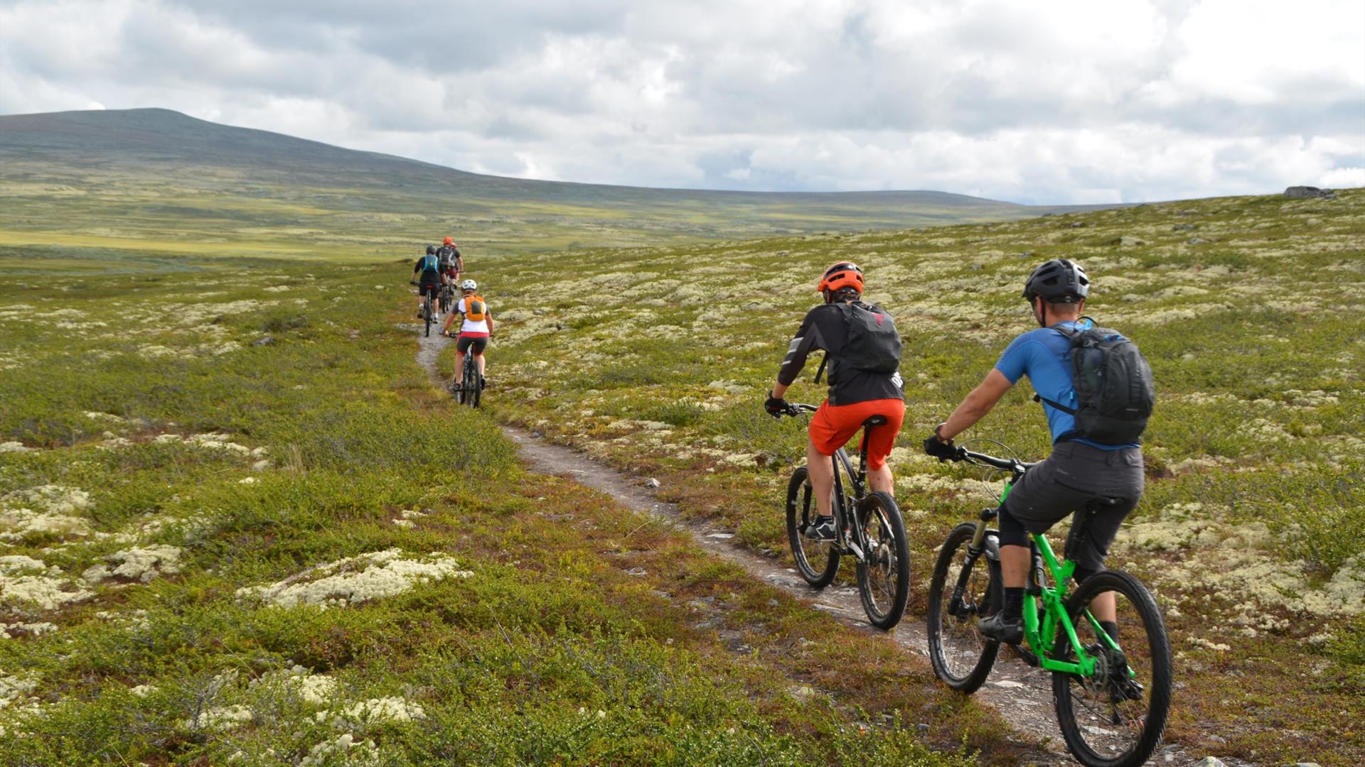 5 Mountainbiker radeln auf einem Pfad auf dem Venabygdsfjellet.