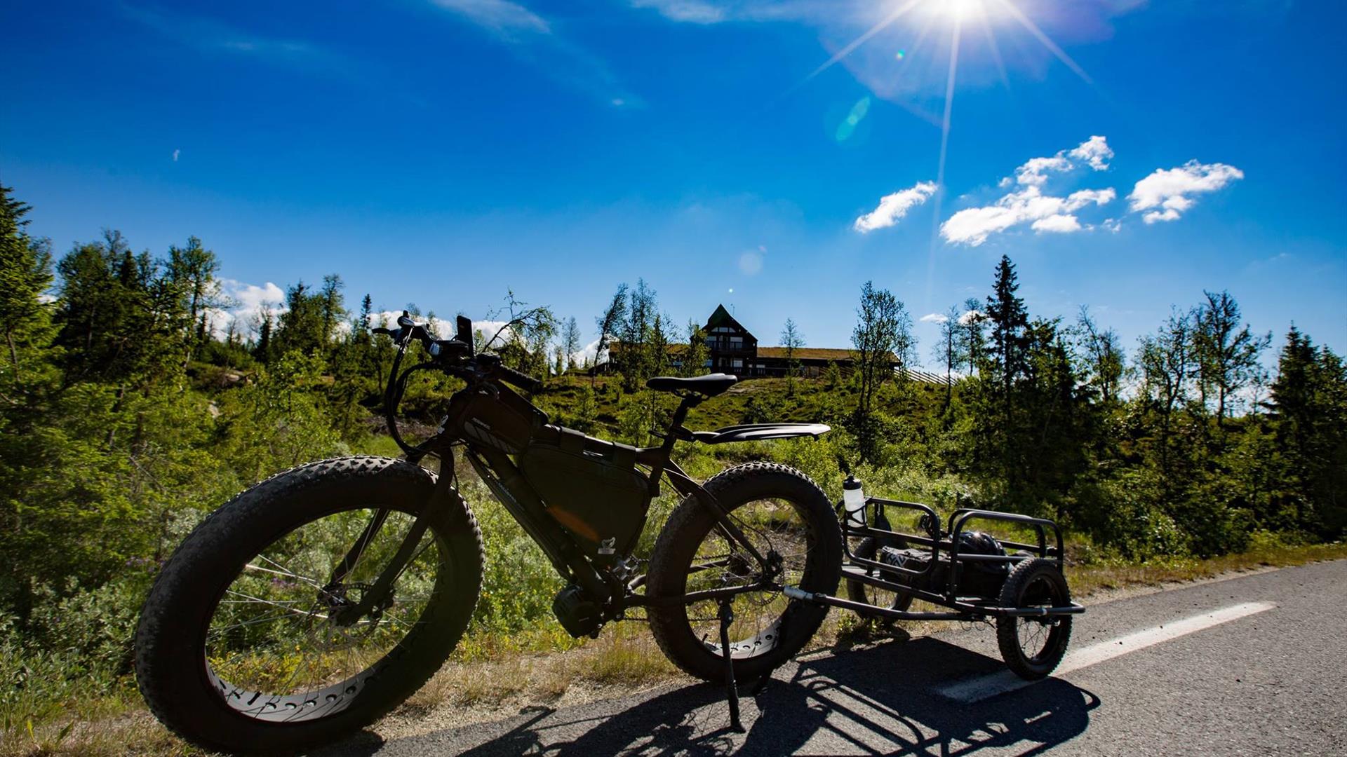 Biking from Synnfjellporten