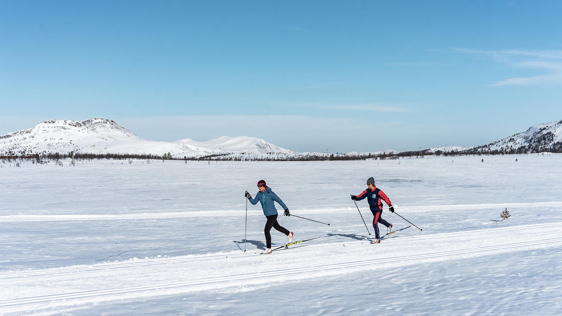 Women's Alpine skis hire