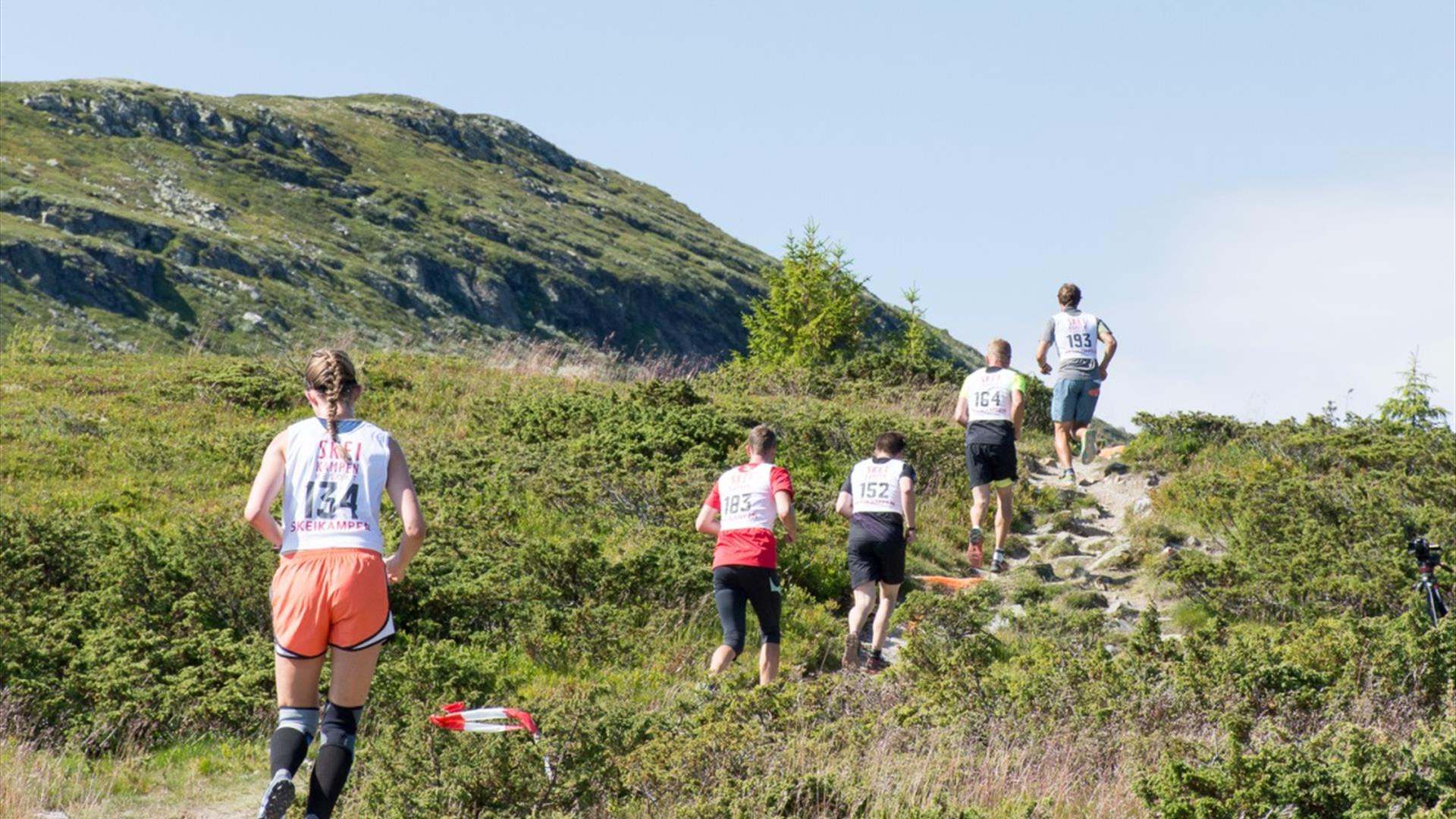 Skeikampen rundt løpet